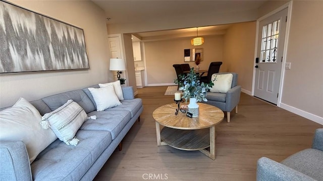 living room featuring hardwood / wood-style flooring