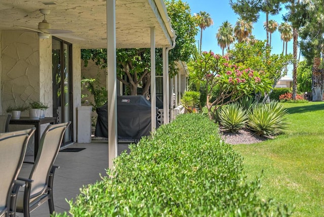 view of yard with ceiling fan and a patio area