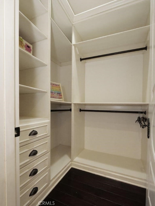 spacious closet with dark hardwood / wood-style flooring