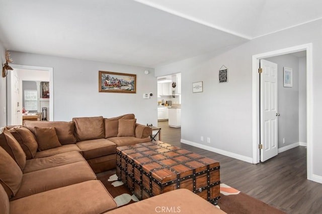 living room with dark hardwood / wood-style floors