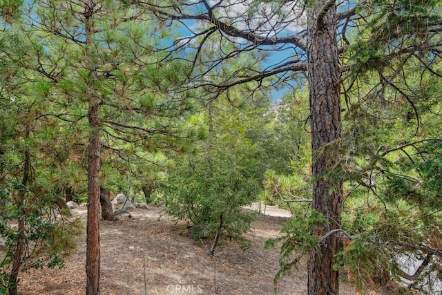 view of nature