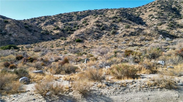 Listing photo 2 for 0 Big Morongo Canyon Rd, Morongo Valley CA 92256