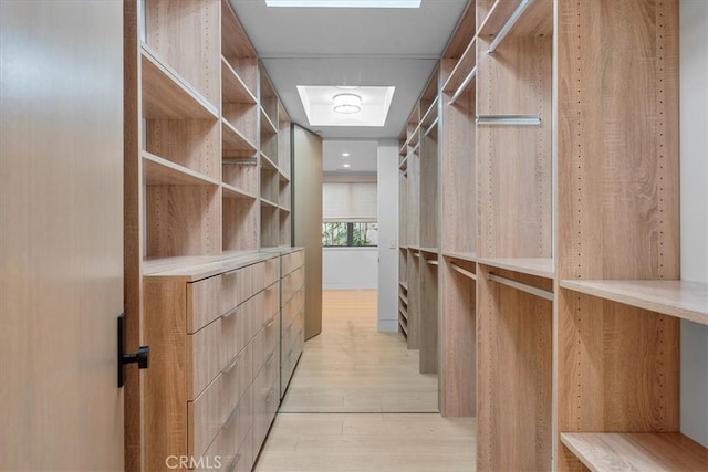 walk in closet featuring light wood-type flooring