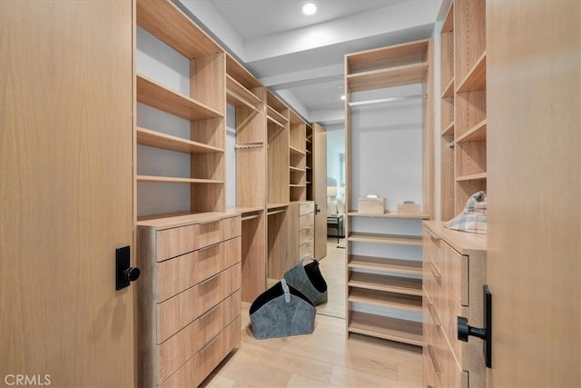 spacious closet featuring light wood-type flooring