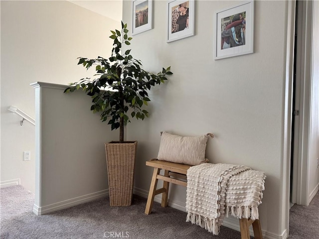 living area with carpet