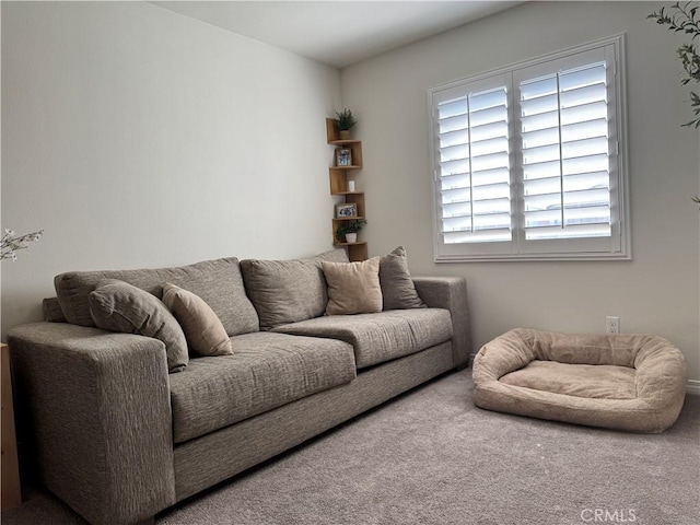 living room featuring carpet floors