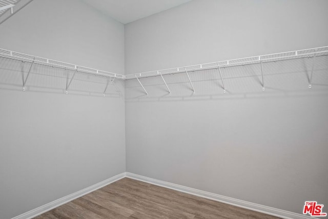 walk in closet with hardwood / wood-style floors