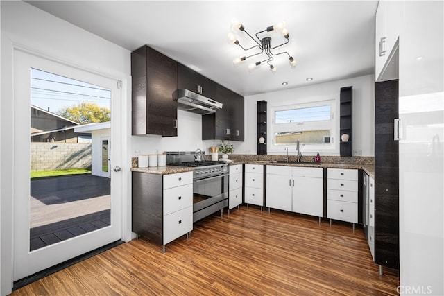 kitchen featuring under cabinet range hood, dark wood finished floors, high end range, and a sink