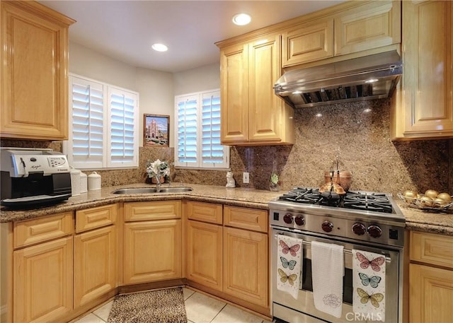 kitchen with stainless steel range with gas stovetop, a sink, backsplash, and ventilation hood