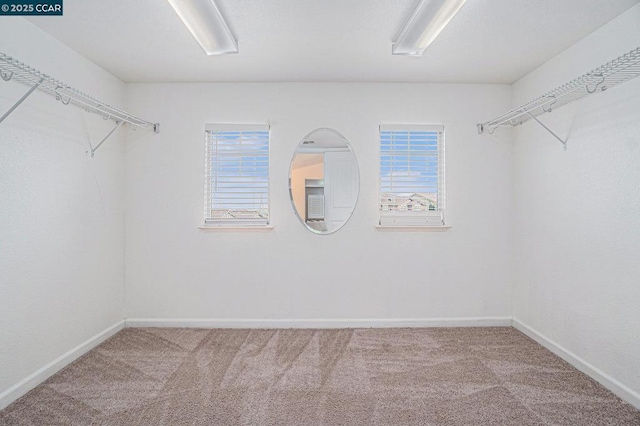 spacious closet with carpet flooring