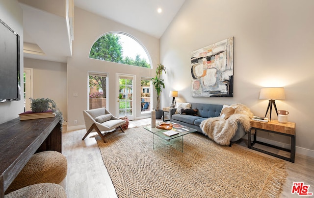 living room with hardwood / wood-style flooring and high vaulted ceiling