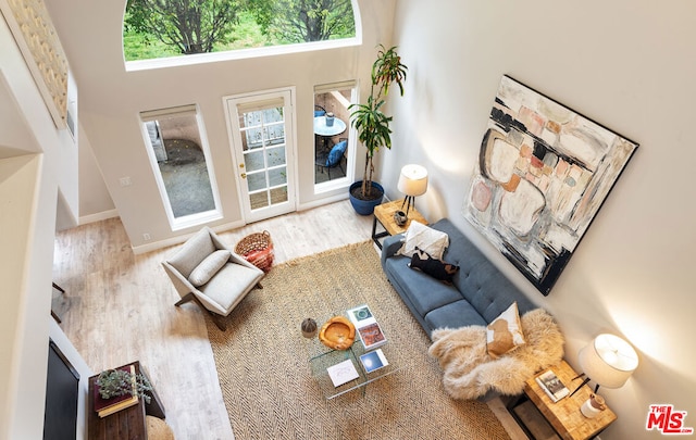 living room featuring hardwood / wood-style flooring and a high ceiling