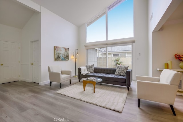 living room with light hardwood / wood-style flooring and high vaulted ceiling