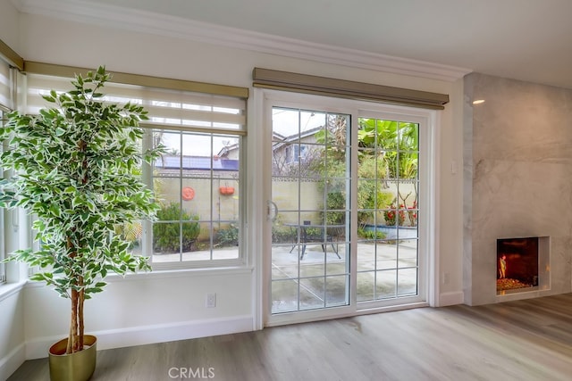 entryway with hardwood / wood-style floors, a high end fireplace, and a wealth of natural light