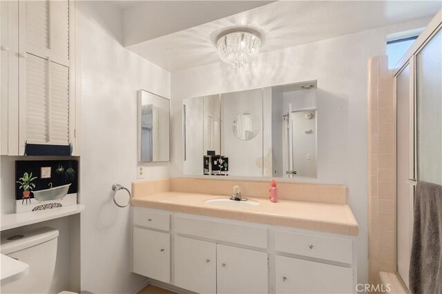 bathroom featuring vanity, a shower stall, and toilet