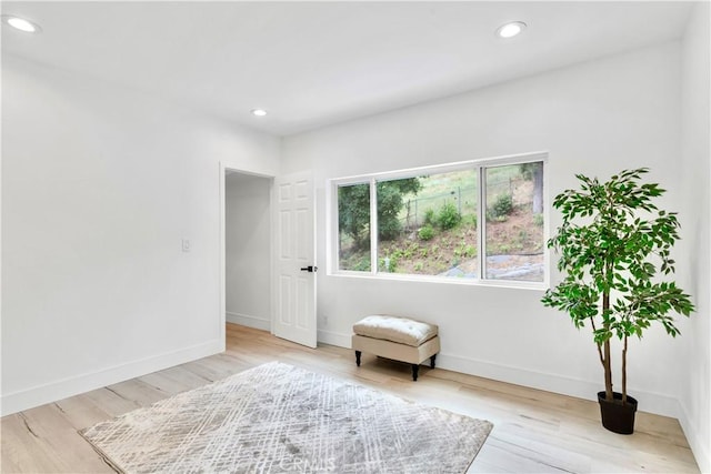 sitting room featuring light hardwood / wood-style floors