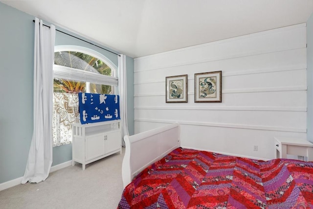 bedroom with carpet floors