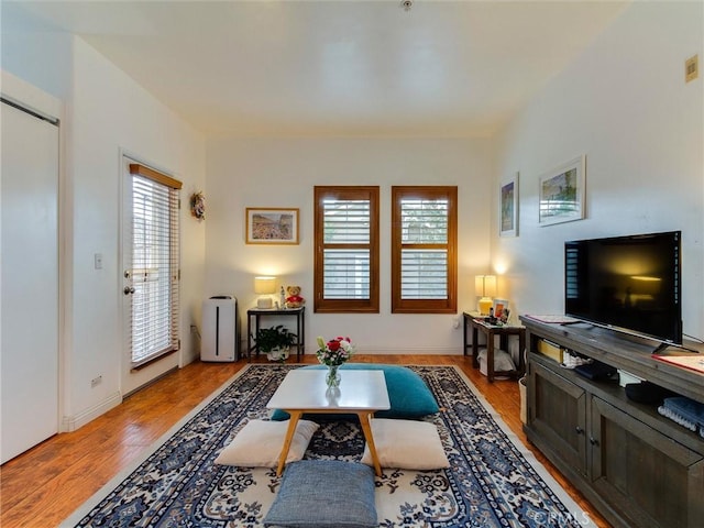 living room with light hardwood / wood-style floors