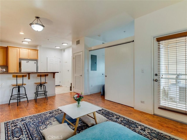 living room featuring light hardwood / wood-style flooring and electric panel