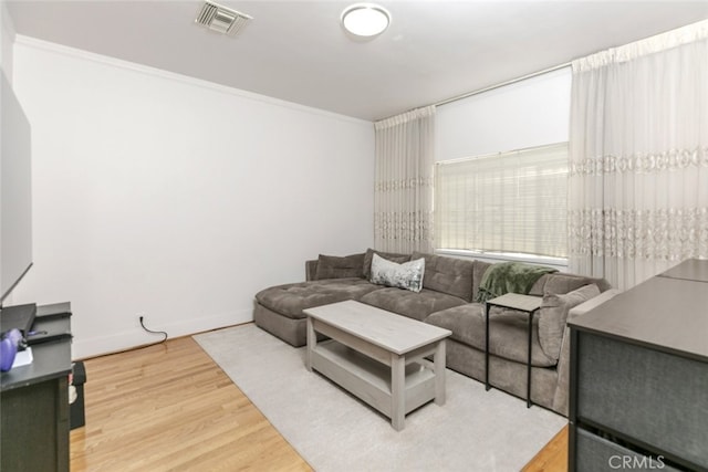 living room featuring wood-type flooring