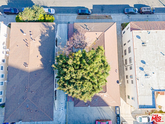 bird's eye view