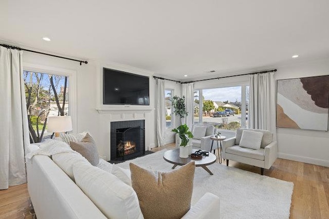 living room featuring light hardwood / wood-style flooring