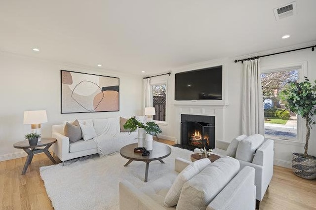 living room featuring a wealth of natural light and light wood-type flooring