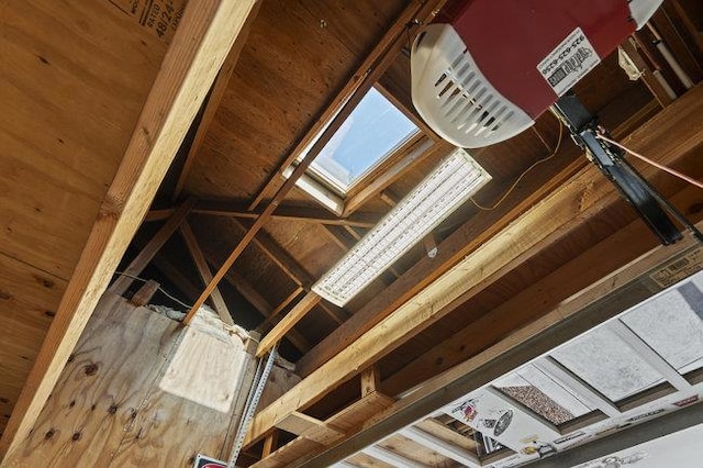 room details with a skylight