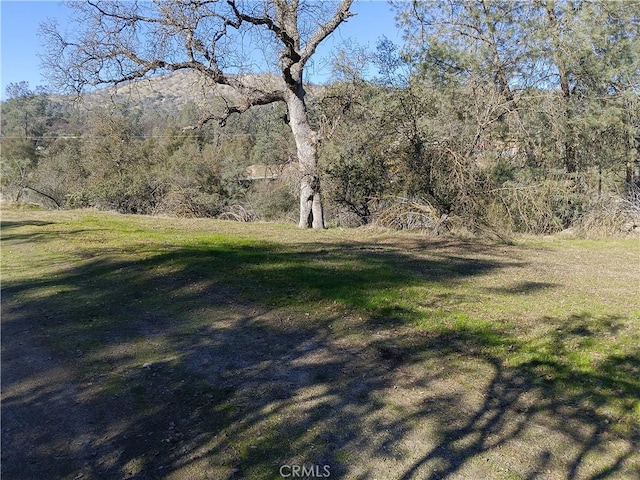 0LOT856 Deep Forest Dr, Coarsegold CA, 93614 land for sale