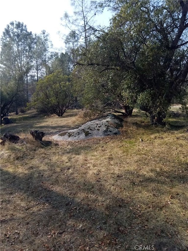 Listing photo 3 for 0LOT856 Deep Forest Dr, Coarsegold CA 93614