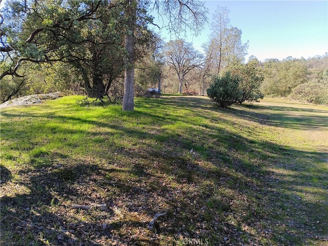 Listing photo 2 for 0LOT856 Deep Forest Dr, Coarsegold CA 93614