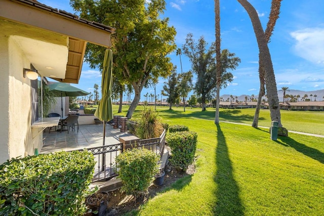 view of yard featuring a patio area