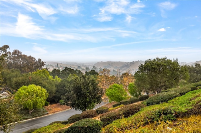 property view of mountains