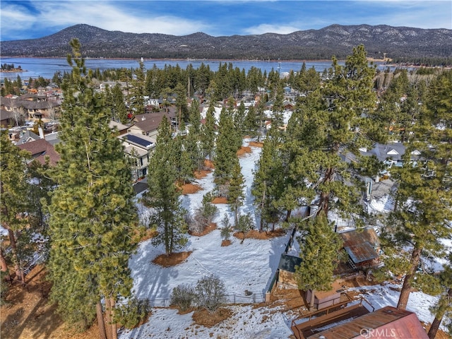 Listing photo 3 for 725 Cameron, Big Bear Lake CA 92315