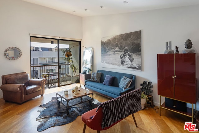 living room featuring wood-type flooring