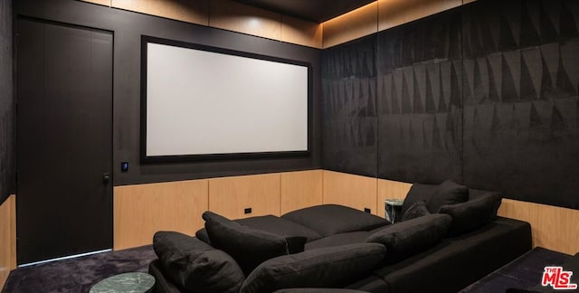 view of home theater room