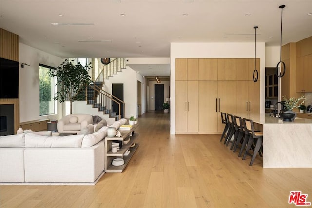 living room featuring a fireplace and light hardwood / wood-style flooring