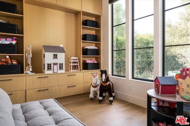 living area with light hardwood / wood-style floors