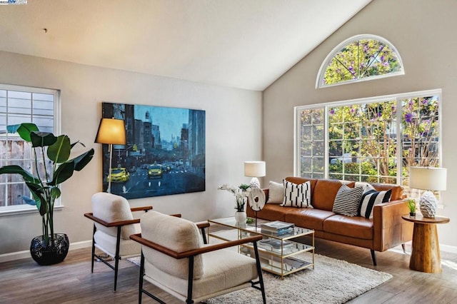 living room with hardwood / wood-style flooring and vaulted ceiling