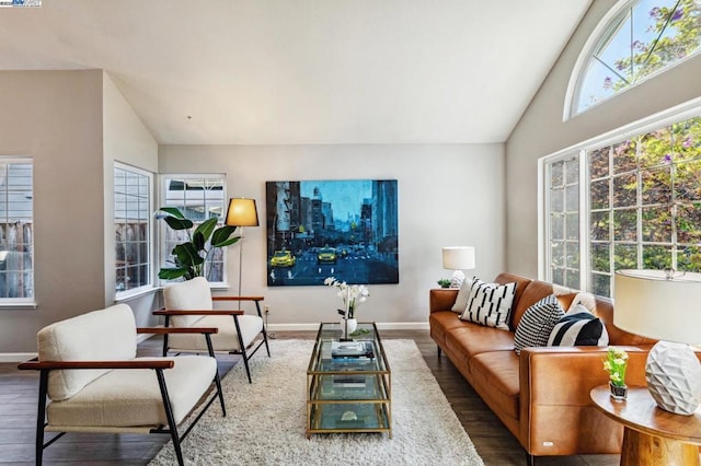 living room with lofted ceiling and hardwood / wood-style floors