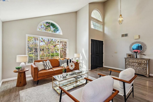 living room with high vaulted ceiling and dark hardwood / wood-style flooring