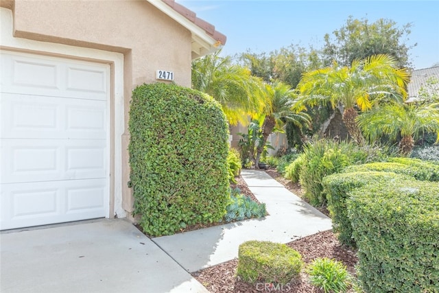 doorway to property with stucco siding