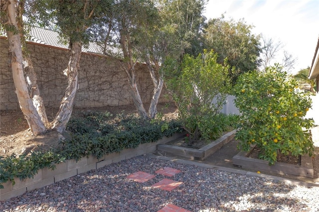 view of yard featuring a fenced backyard and a vegetable garden