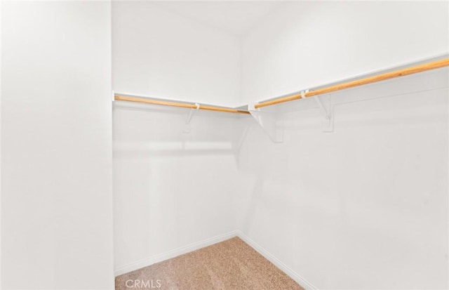 walk in closet featuring carpet flooring