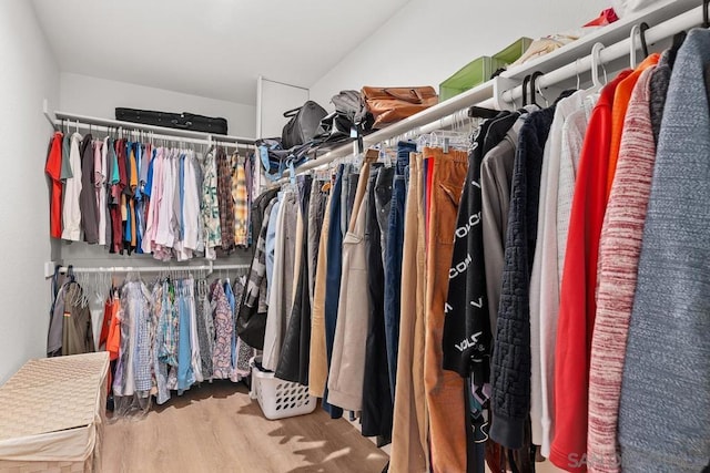 spacious closet with hardwood / wood-style floors