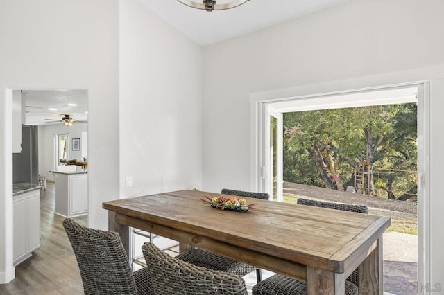 dining room with light hardwood / wood-style floors