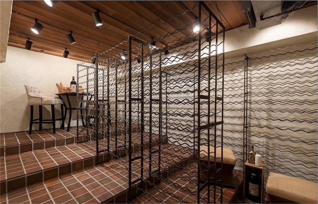 wine cellar with wooden ceiling and rail lighting