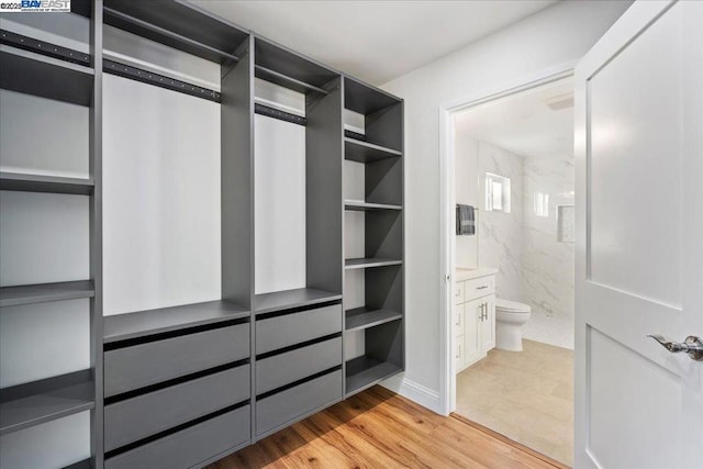 spacious closet featuring light hardwood / wood-style floors