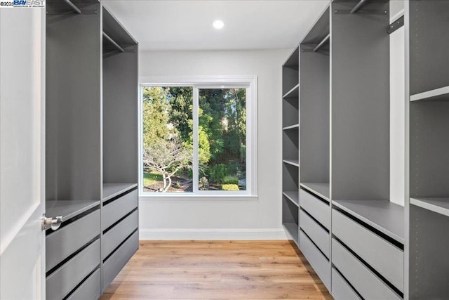 spacious closet featuring light hardwood / wood-style floors