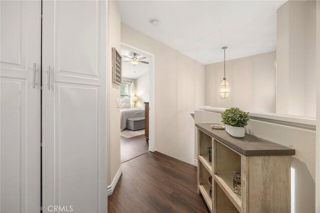 hall featuring dark wood-type flooring